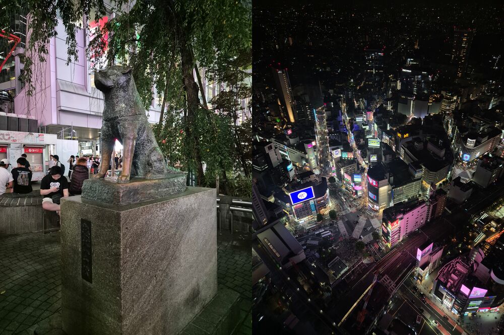 Hachiko e Shibuya Sky Hachiko e Shibuya Sky